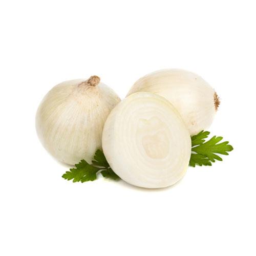 Medium white onion