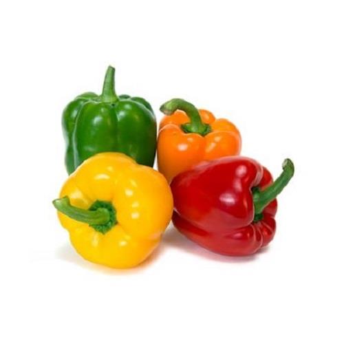 Medium-sized colored bell peppers
