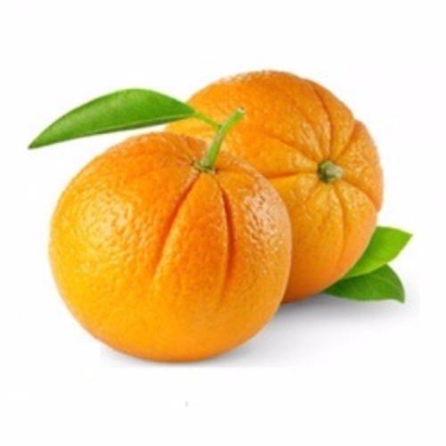 South Thomson Orange 