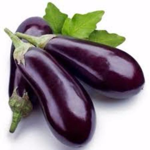 Coarse eggplant