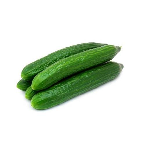 Cucumber (for salad)