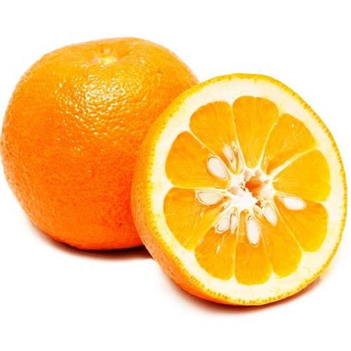 Premium Bitter orange