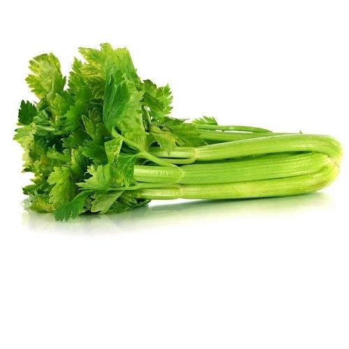 Greenhouse celery