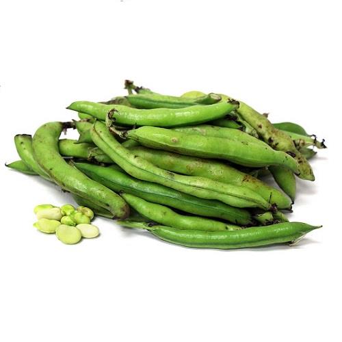 green broad bean